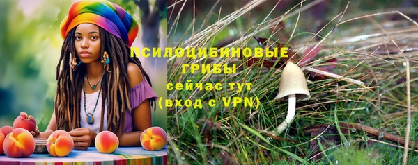 2c-b Абинск