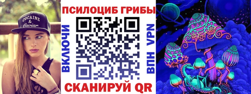 Псилоцибиновые грибы Psilocybe Полярный