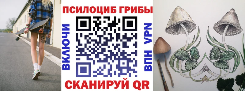 где купить наркоту  Полярный  Псилоцибиновые грибы мицелий 